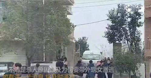 滑县当地人爆料事件最新,村民爆料，真相待解，最新进展揭晓