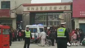 濮阳事件爆料最新情况,真相逐步浮出水面